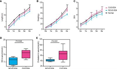The Impact of Gut Microbiome on Metabolic Disorders During Catch-Up Growth in Small-for-Gestational-Age